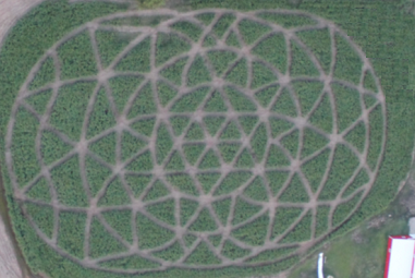 Crop Circles